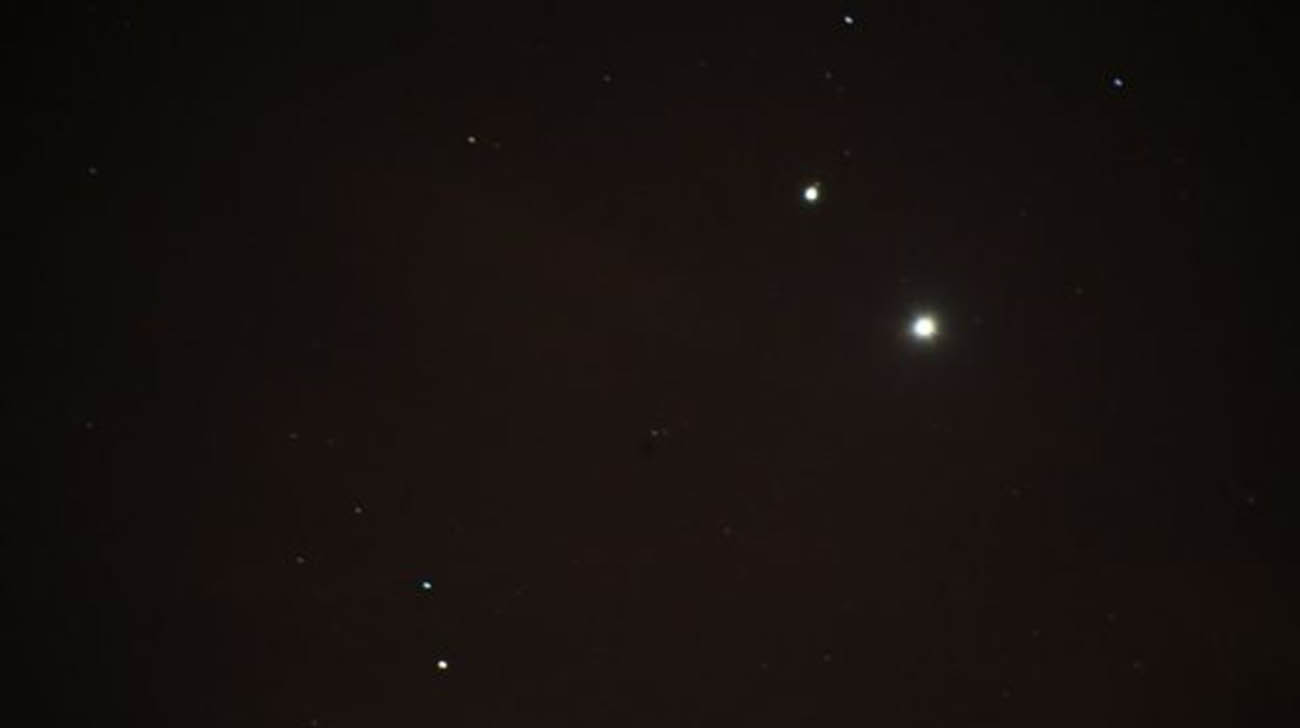 venus 2 new.jpg