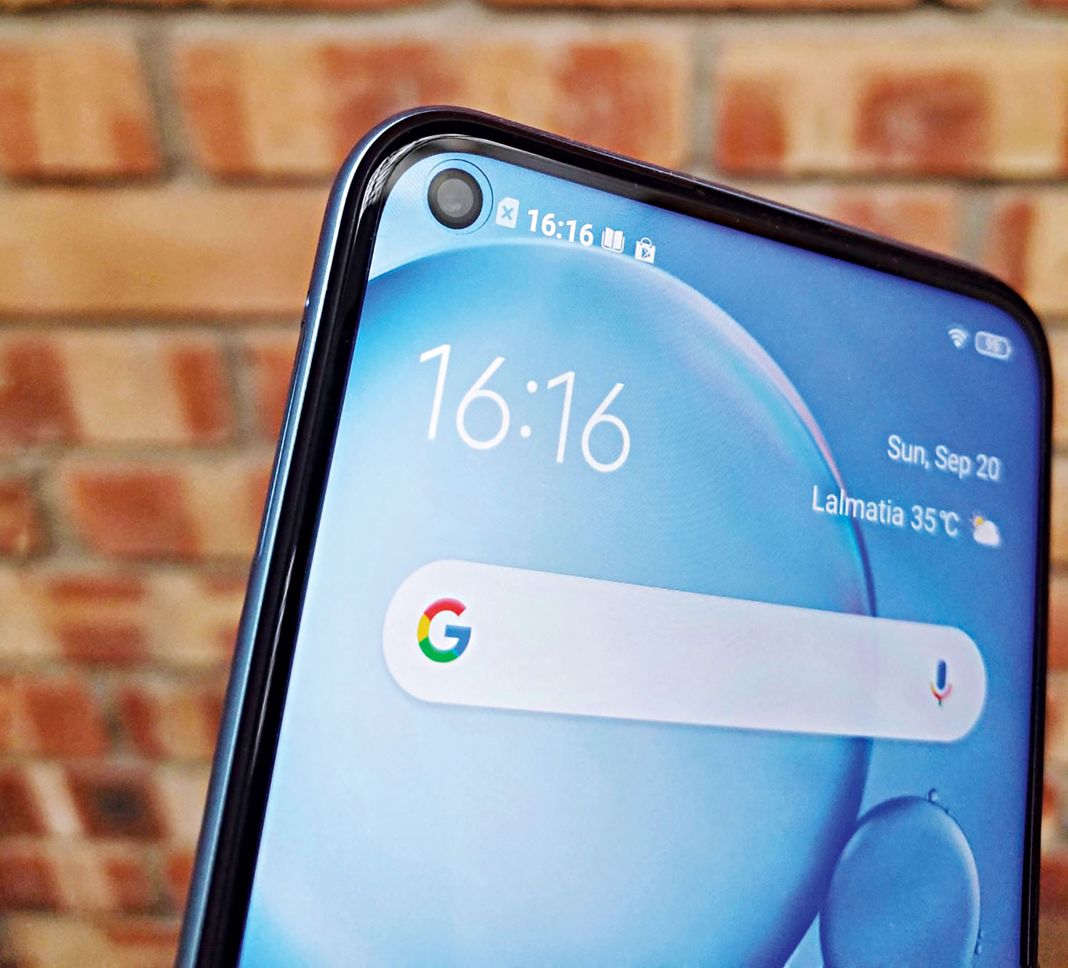 vivo3.jpg