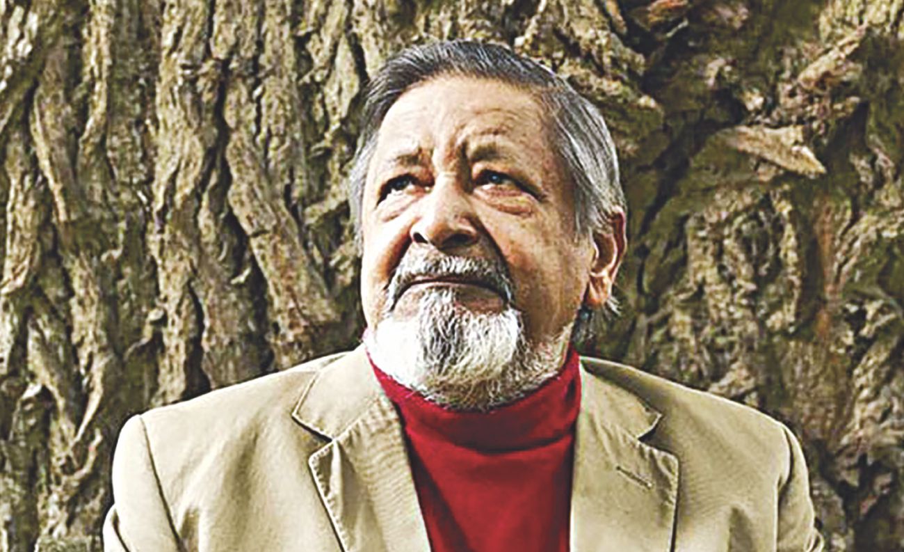vs_naipaul1_0.jpg