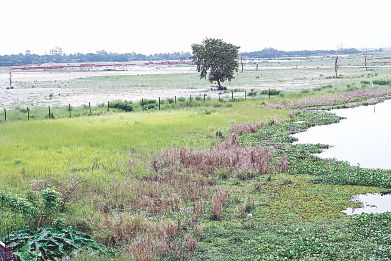 waterlogging_3_1.jpg