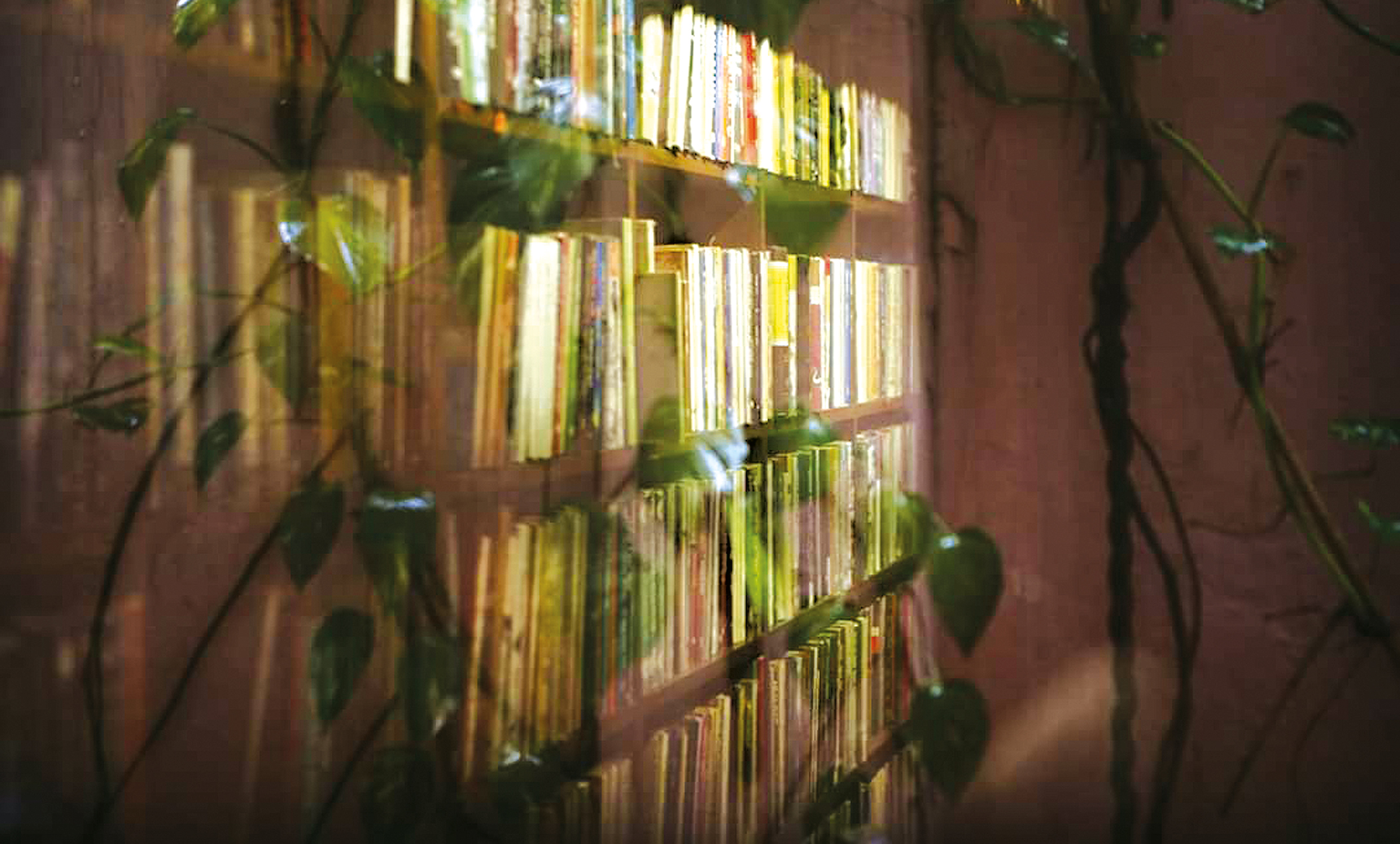 world-book3.jpg