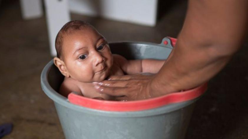 zika-2-web.jpg