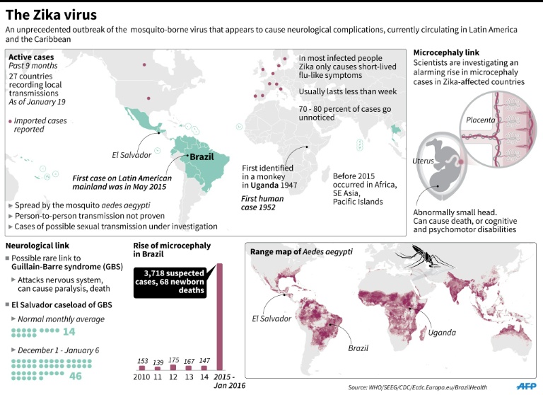 Zika-afp-info.jpg