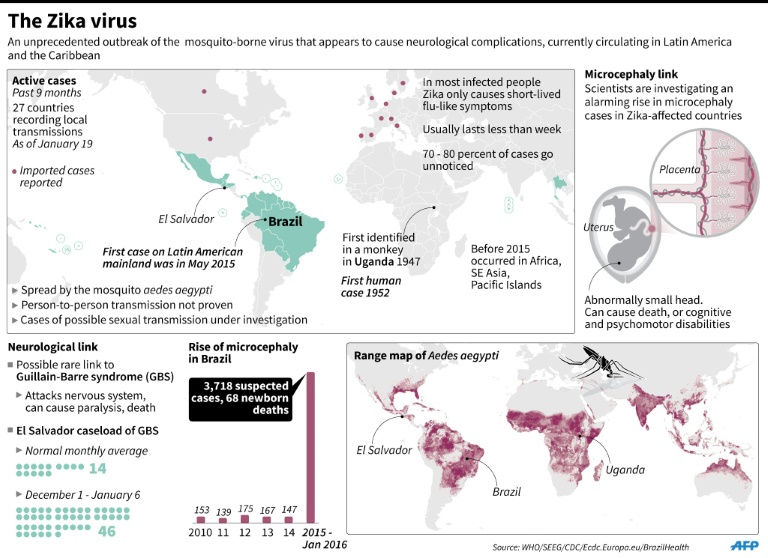 zika-afp2.jpg