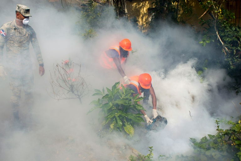 Zika-afp2.jpg