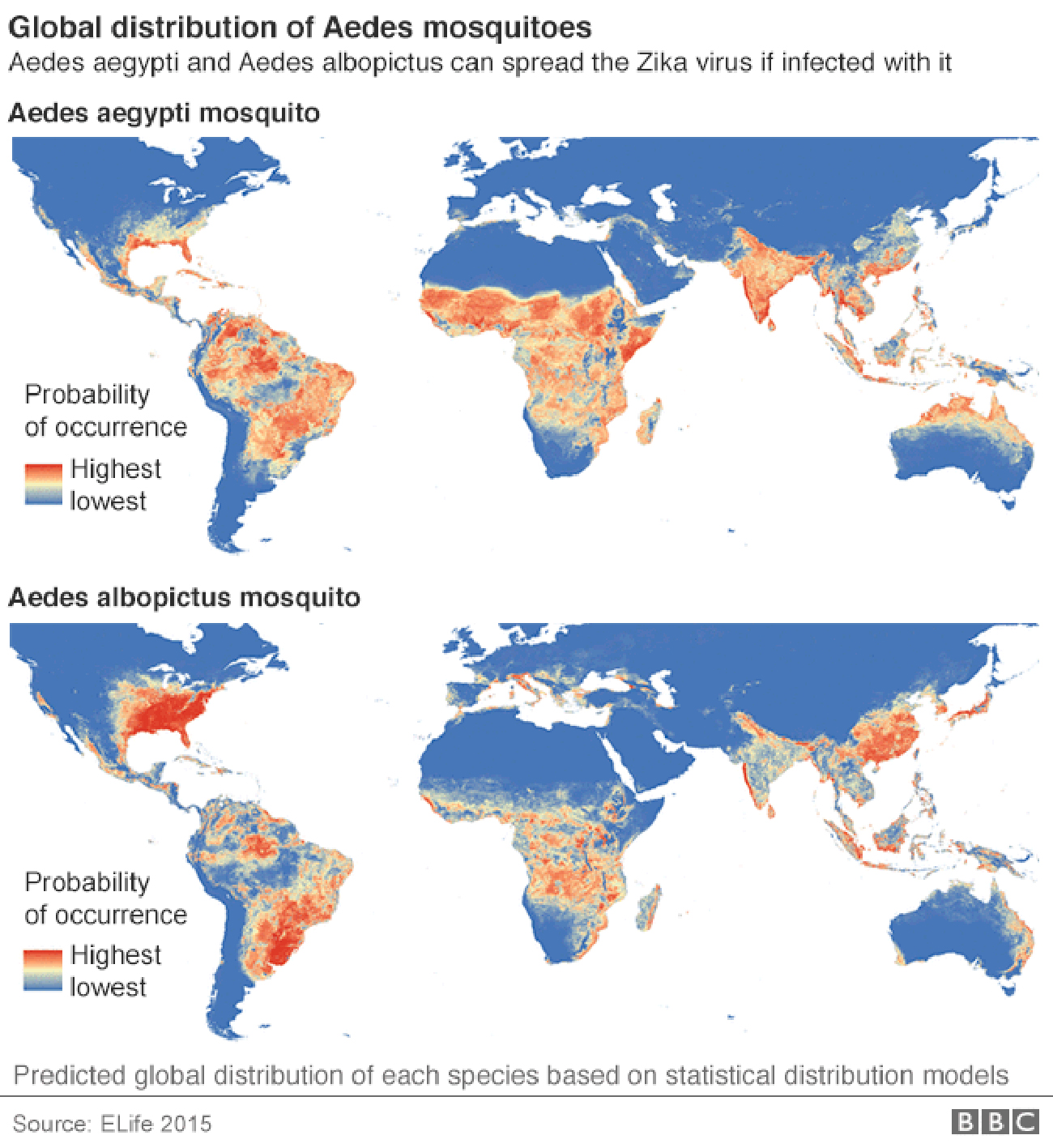 Zika-virus-2.jpg