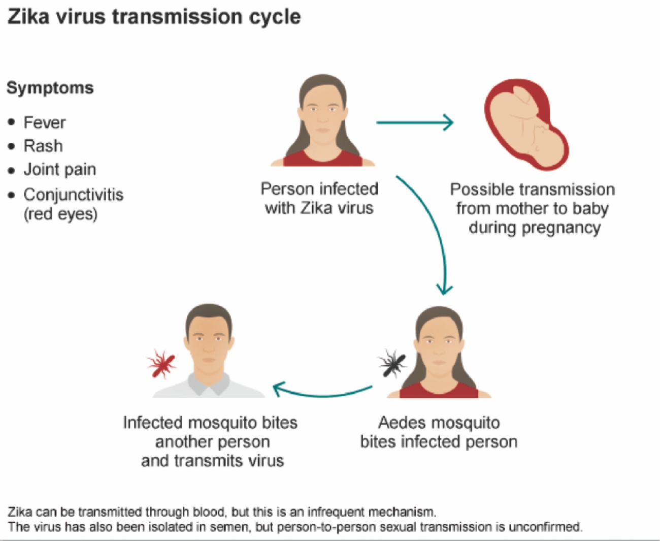 zika virus.jpg