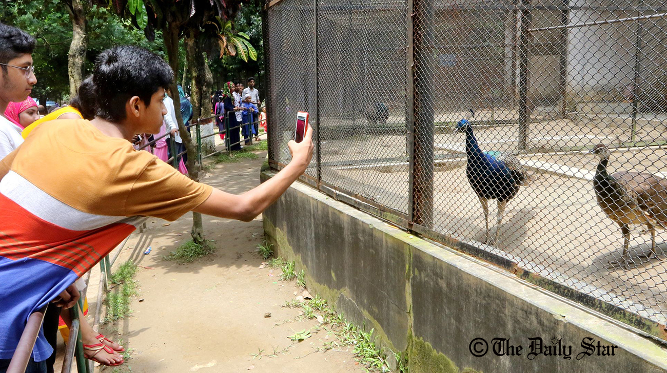 zoo2_3.jpg