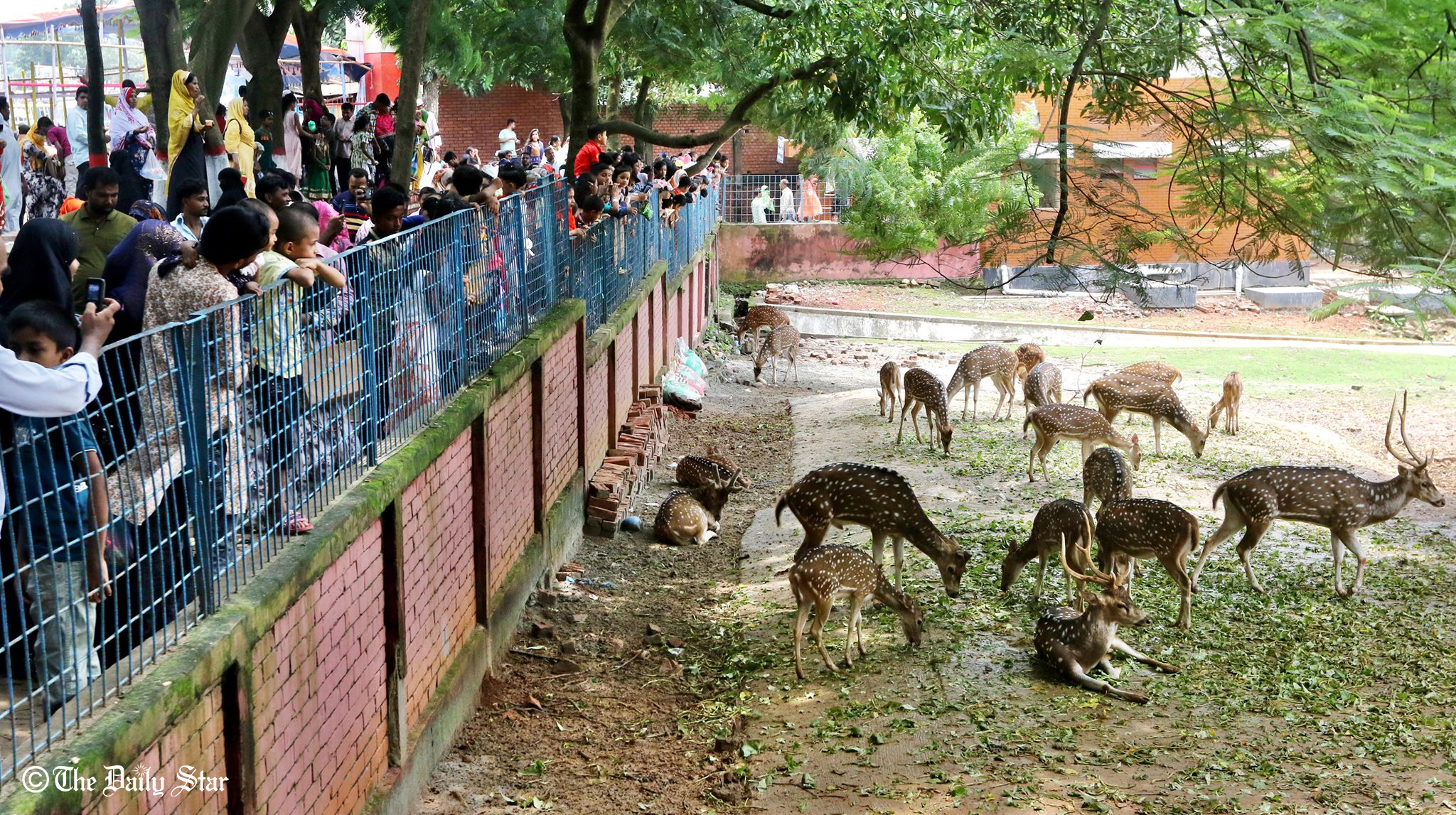 zoo6_1.jpg