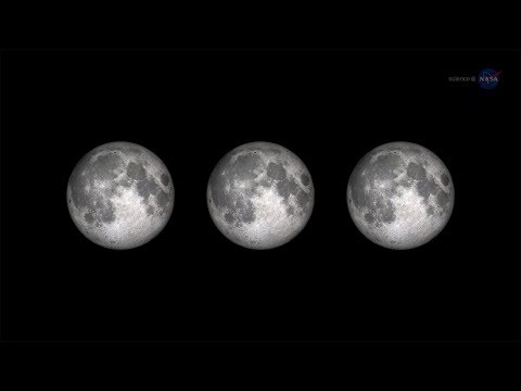 When protest turns into a mob