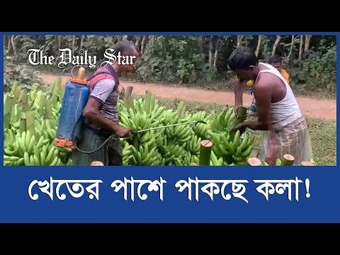 This country belongs to women too