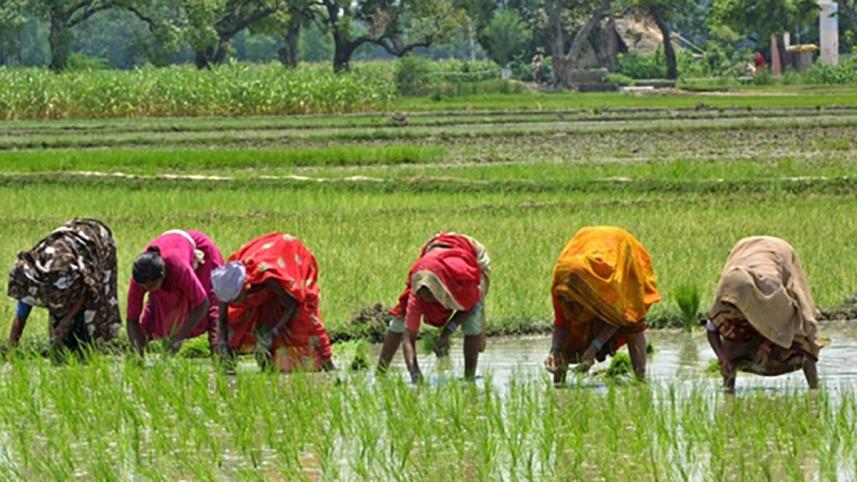 women farmers.jpg