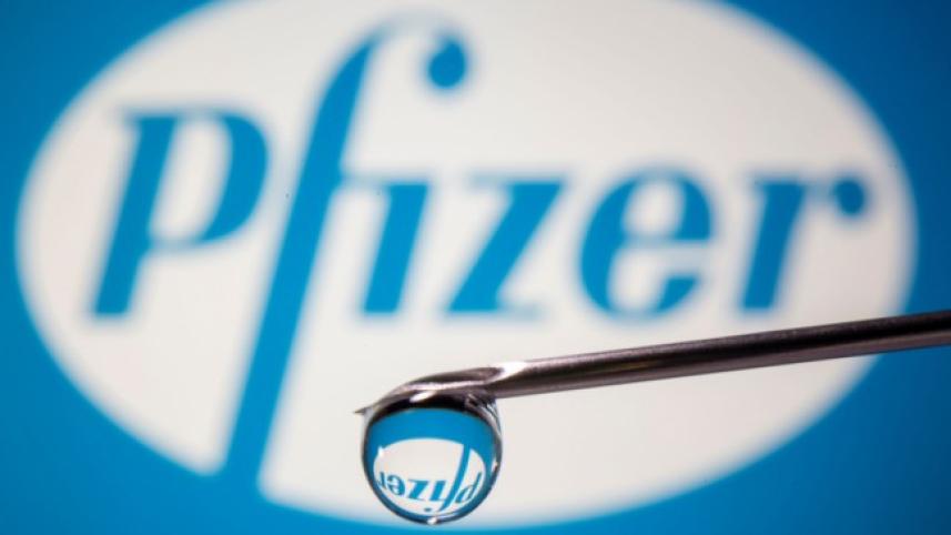 pfizers-wb.jpg
