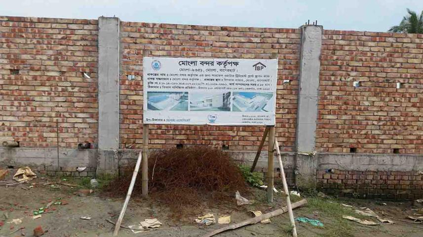 plant 1.jpg