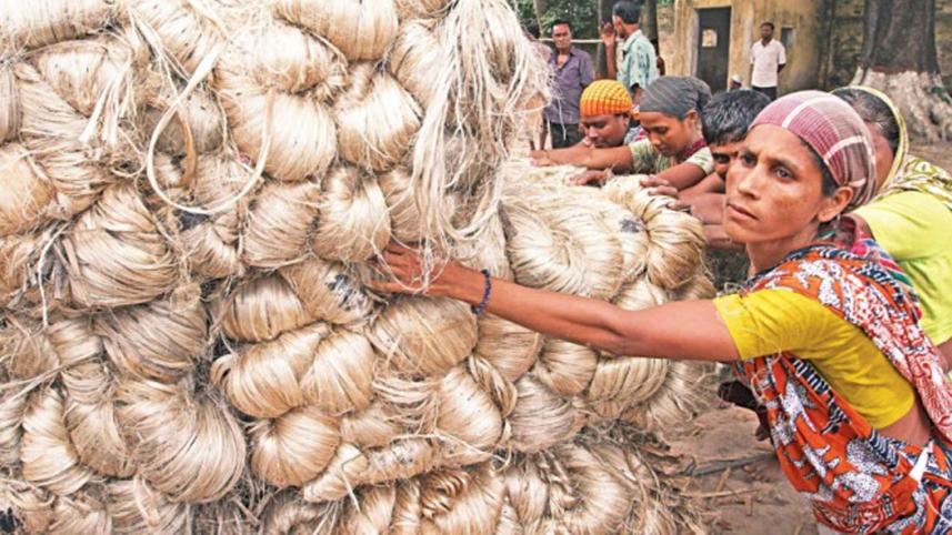 raw-jute.jpg