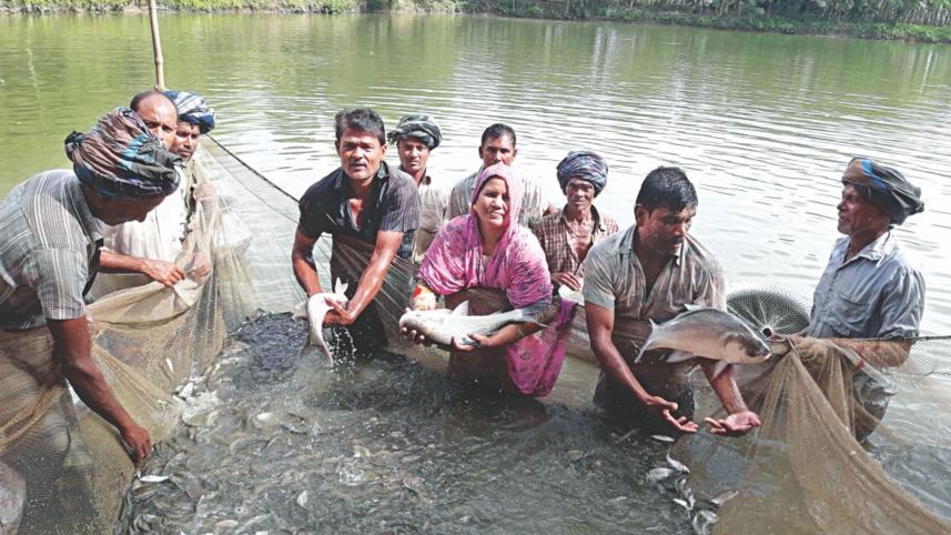Aquaculture-in-Bangladesh.jpg