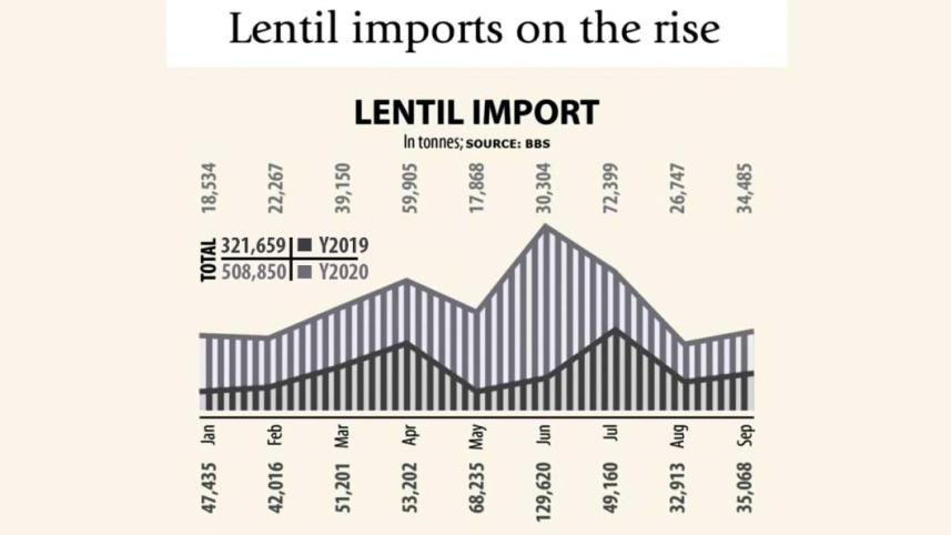 Lentil News.jpg