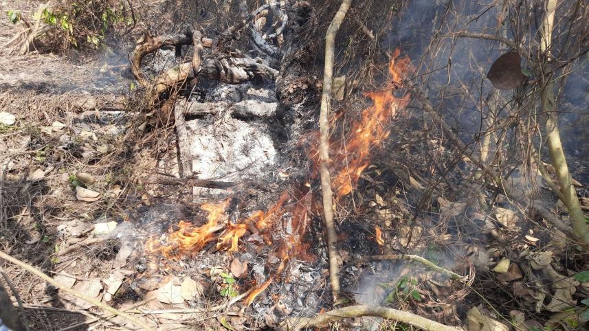 Bagerhat Sundarbon  (1).jpg