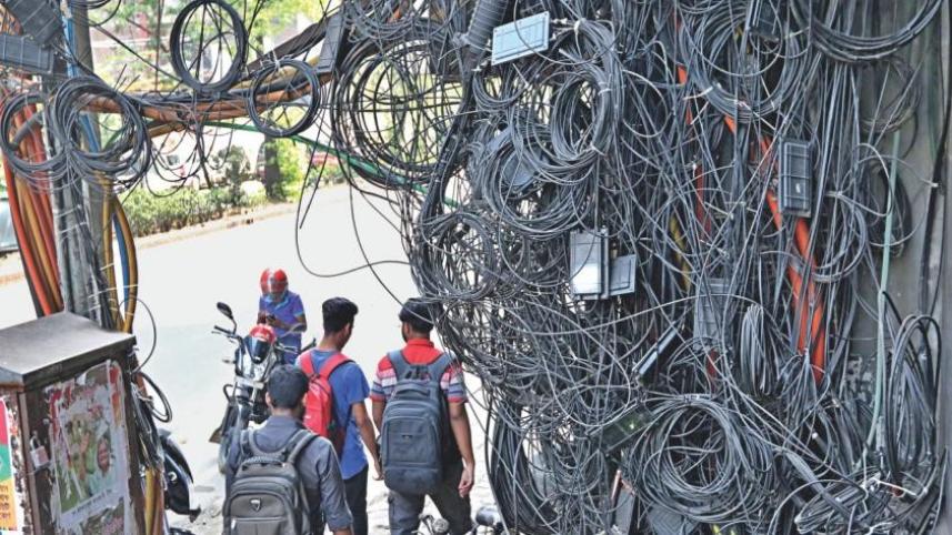 tangled_web.jpg