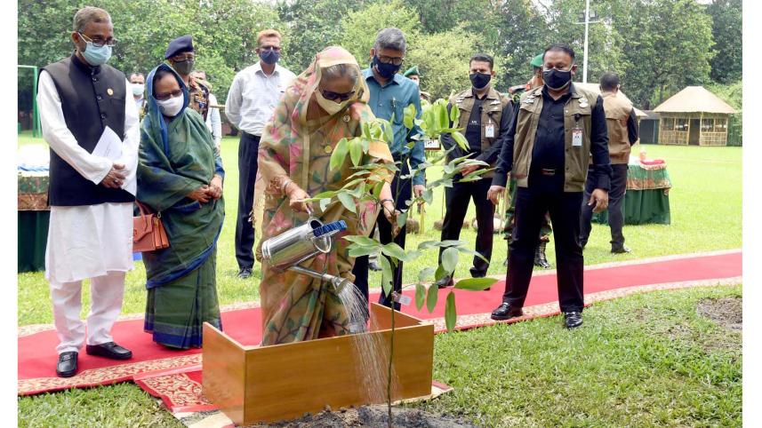 Hasina-plantation.jpg