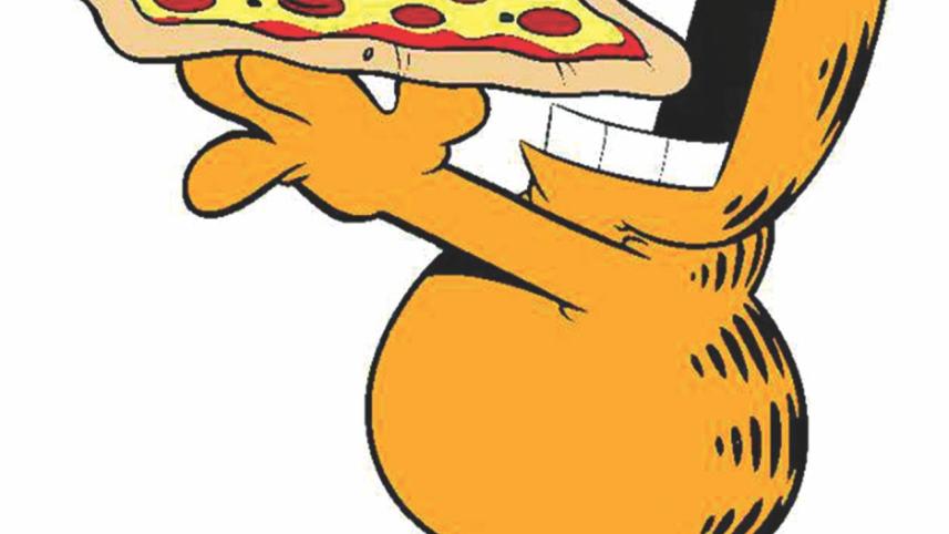 A Day in the Life of Food Hoarder