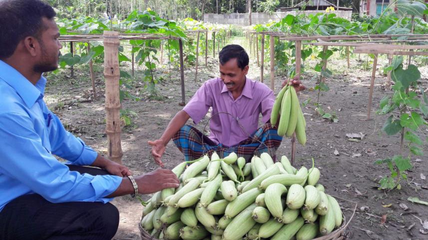 A farmer.jpg