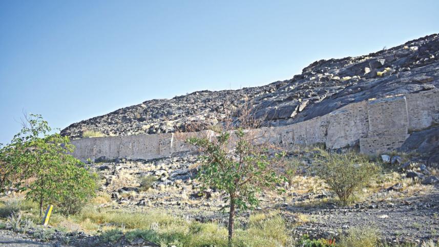 A queen–sized heart