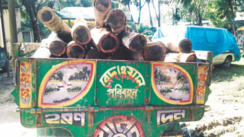 A seized truck.jpg