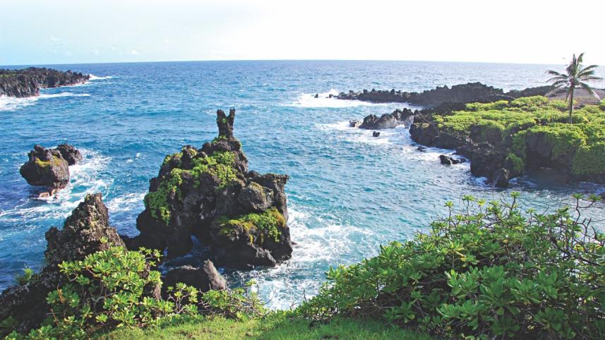 A Visit to the Hawaiian Islands