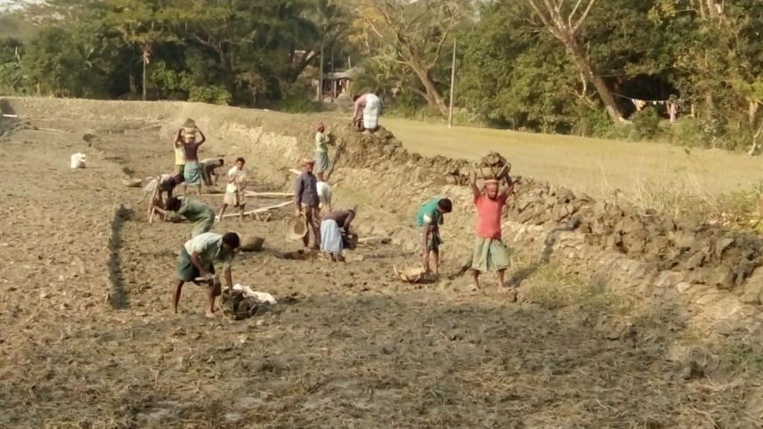 Agri land decline.jpg