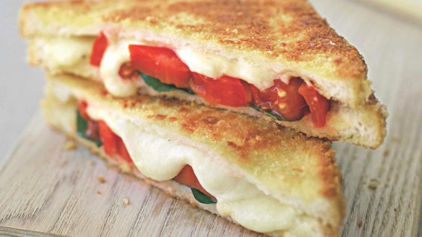 Homemade Cheese Recipes