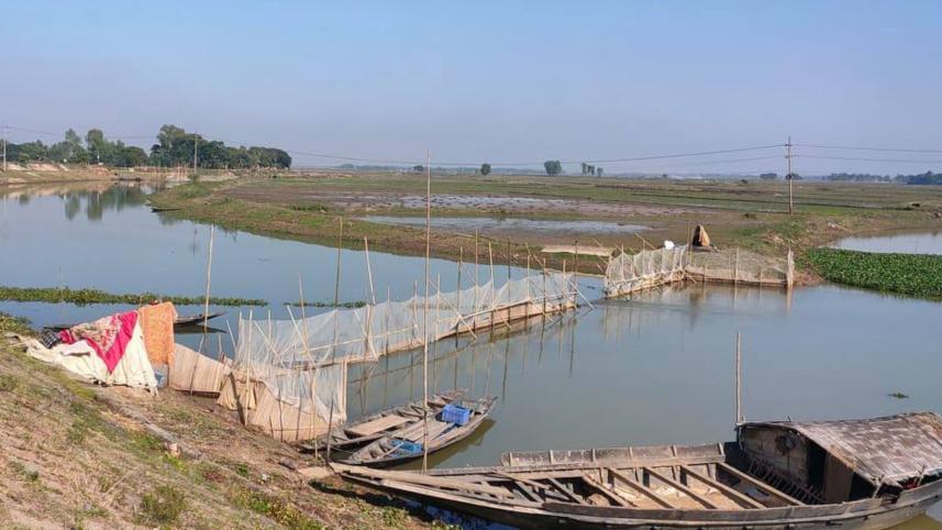 aquatic animals 