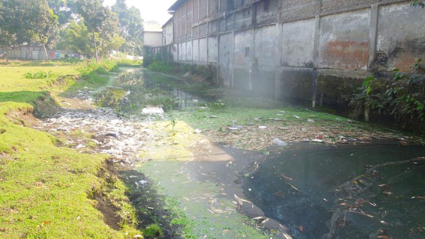 Bamondanga River grabing.jpg