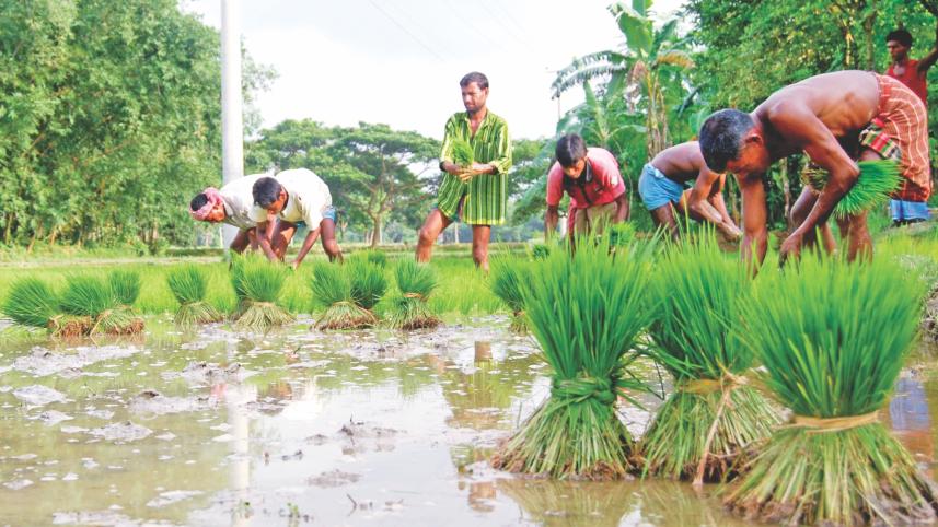 BB pity on farmers.jpg