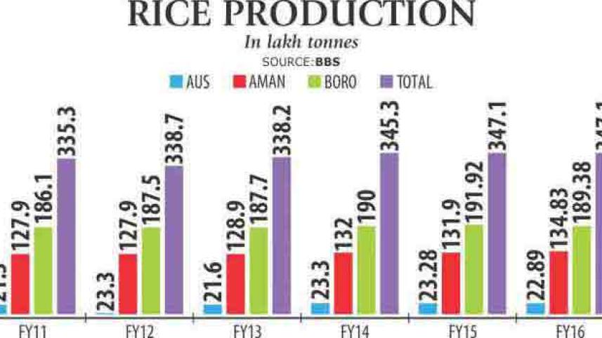 boro_rice_output-corrected.jpg