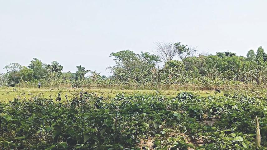 Bscic Muktagachha Mymensingh.jpg