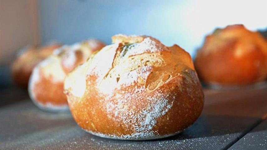Carb-1.jpg