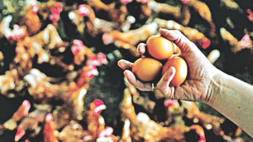 Contaminated food.jpg