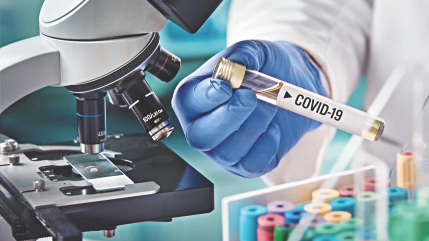 covid corona virus.jpg