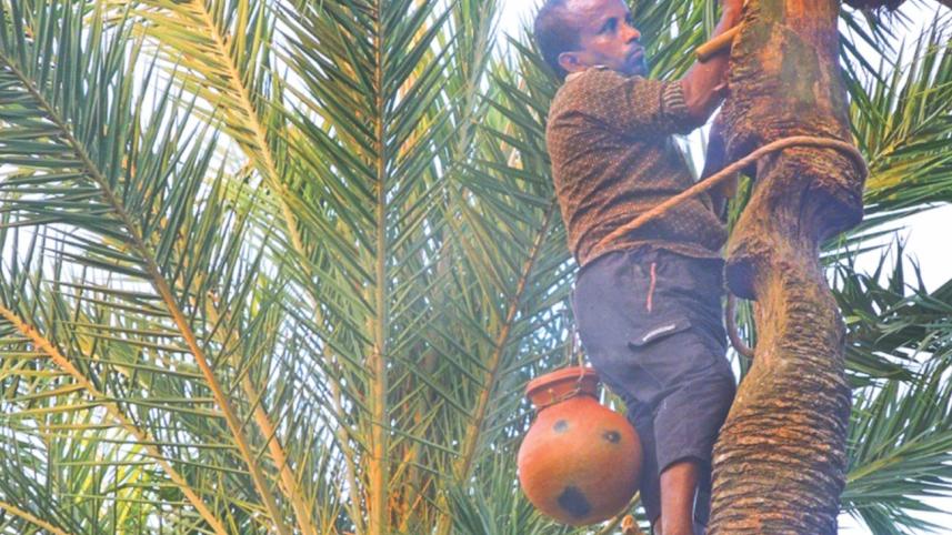 Date juice village.jpg