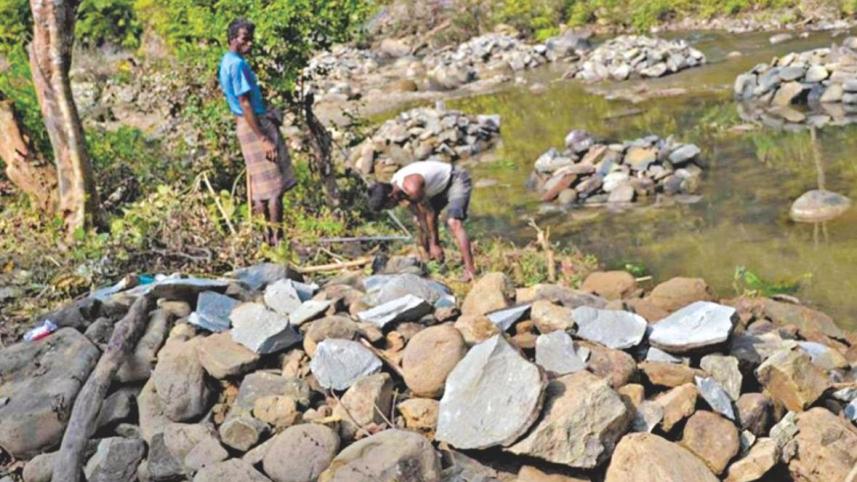 Deliberate destruction of the environment