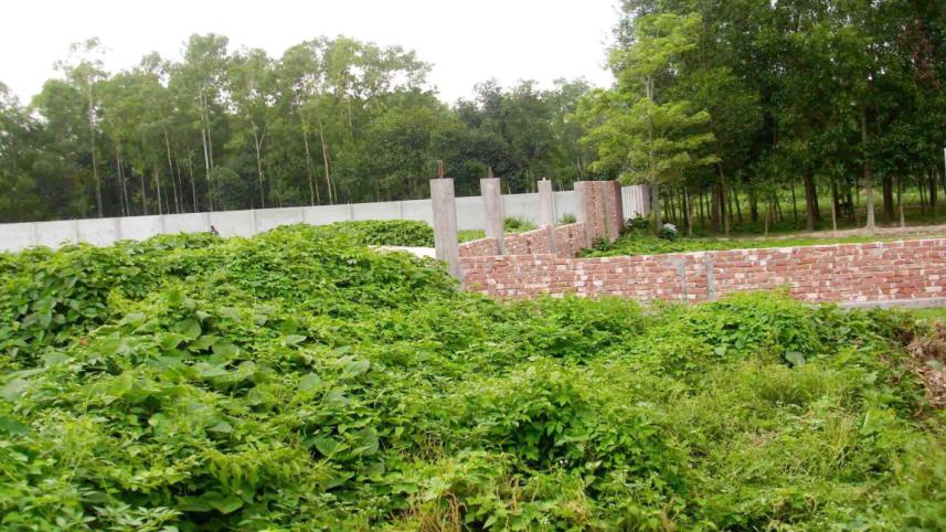 Dhalapara forest.jpg