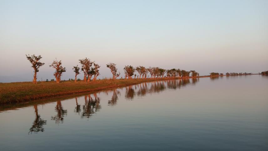 dyke on Sunamganj haors 1.jpg