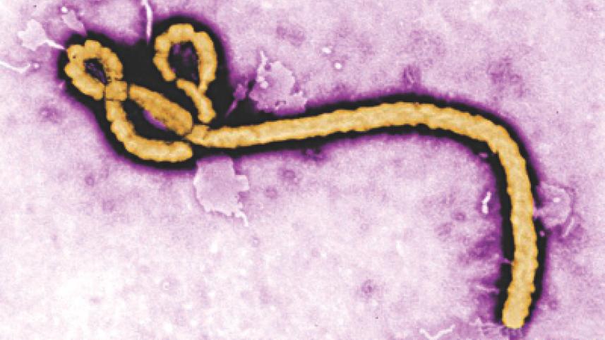 ebola test.jpg