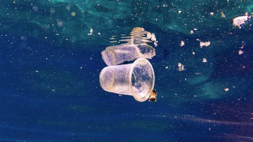 plastic products in coastal areas