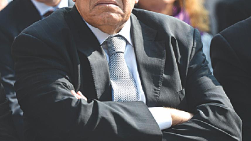 egypt graft.jpg
