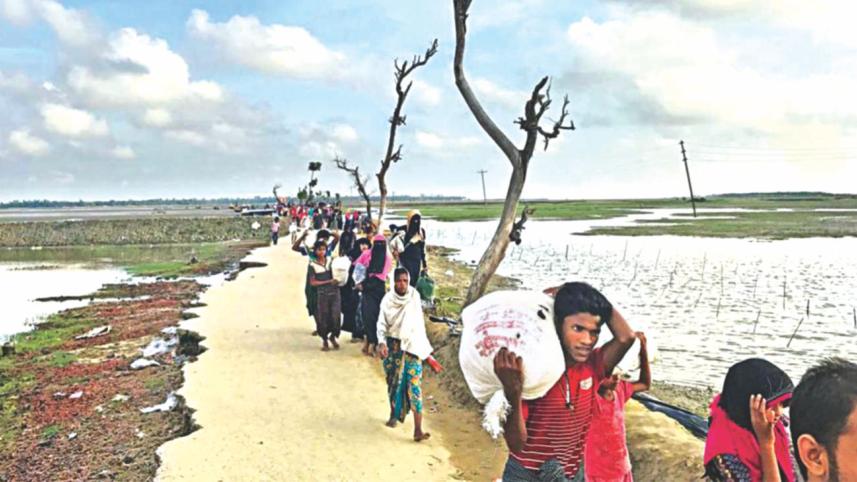 Employment for Rohingyas