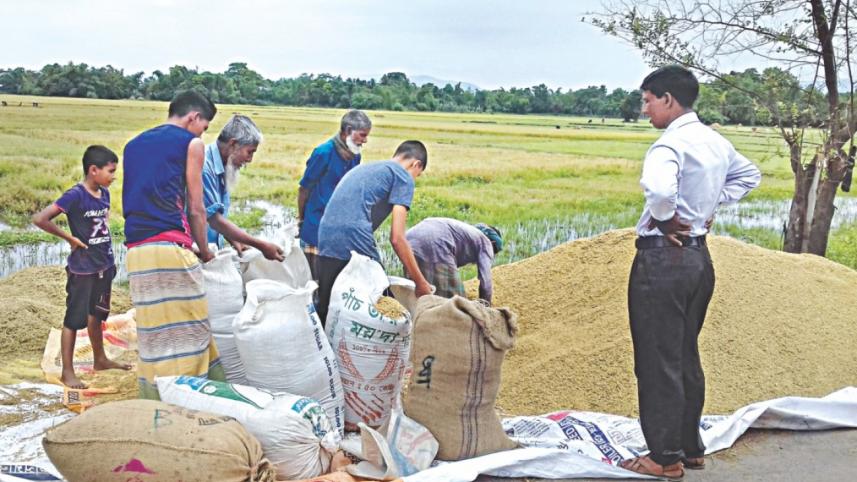 fair price for farmer.jpg