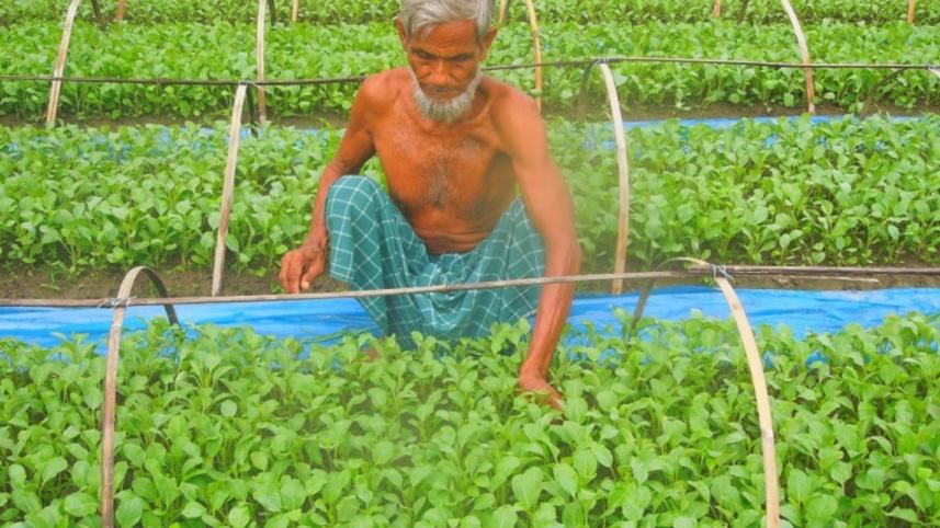 Farmer-friendly regulations.jpg