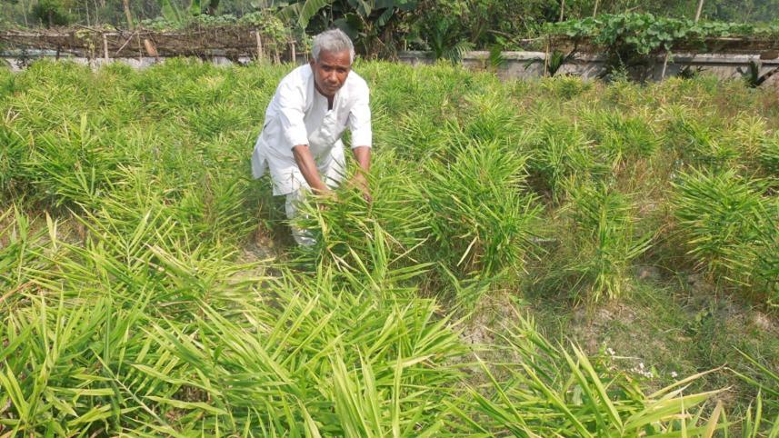 Farmer Sukumar Roy.jpg